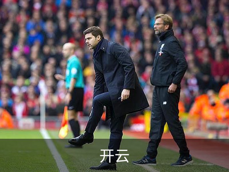 开云概况